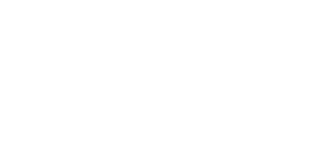 HEX-logo-white